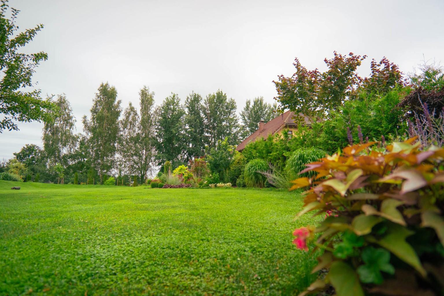 darzs-marupe-1-DSC00829