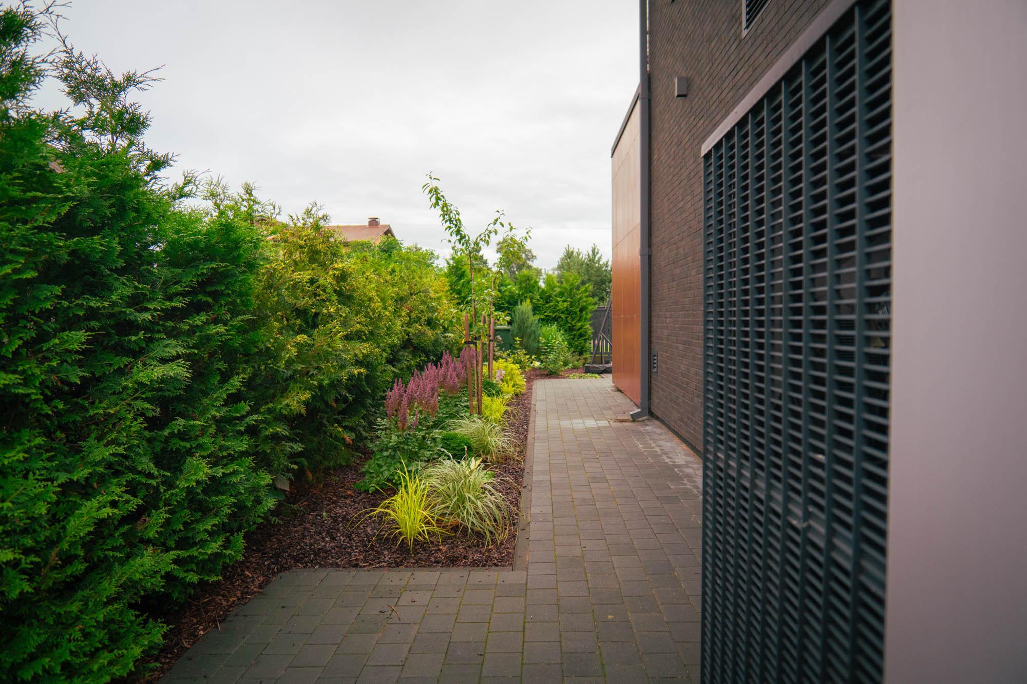 darzs-marupe-1-DSC00833