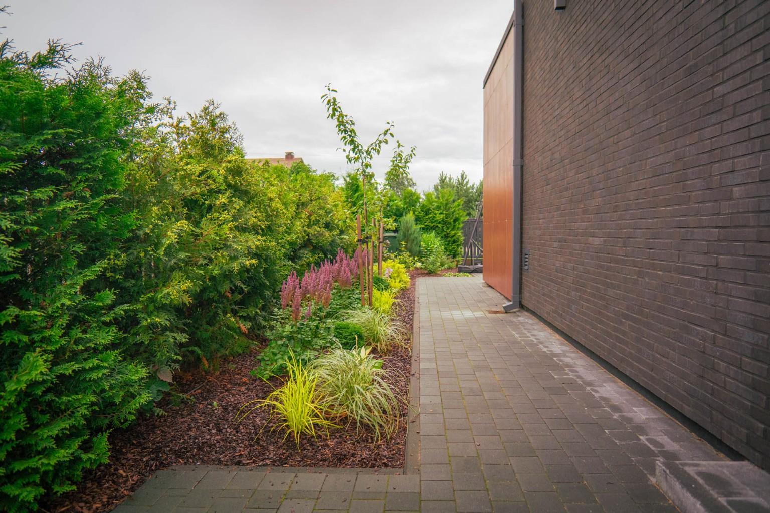 darzs-marupe-1-DSC00834