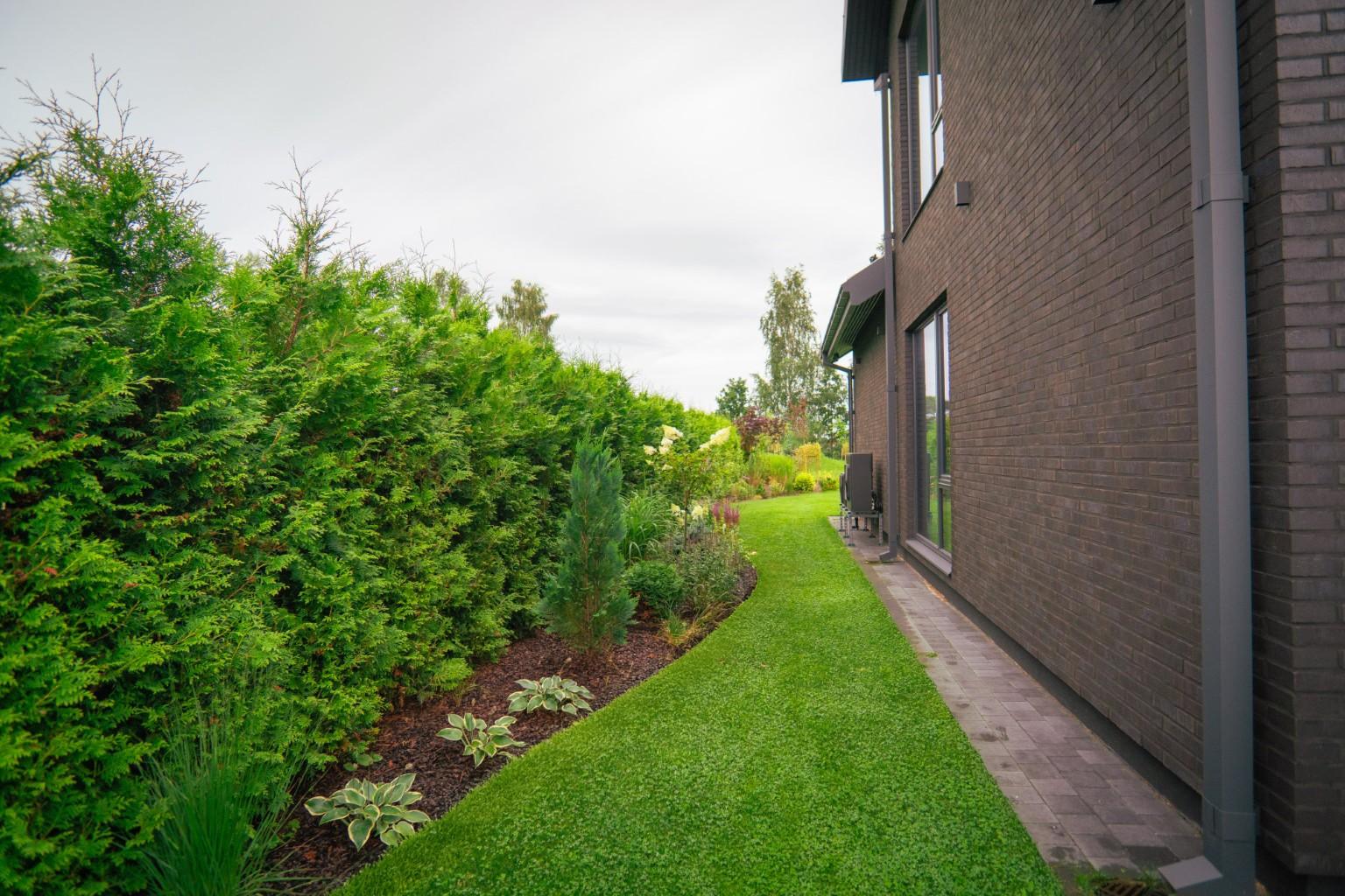 darzs-marupe-1-DSC00849