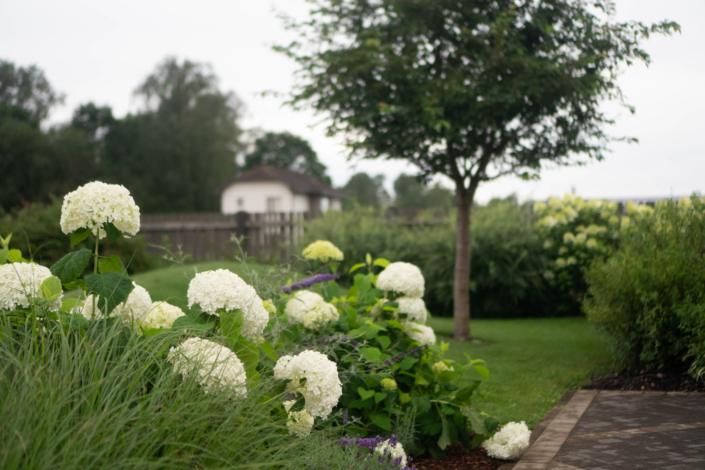 darzs-marupe-3-DSC00889