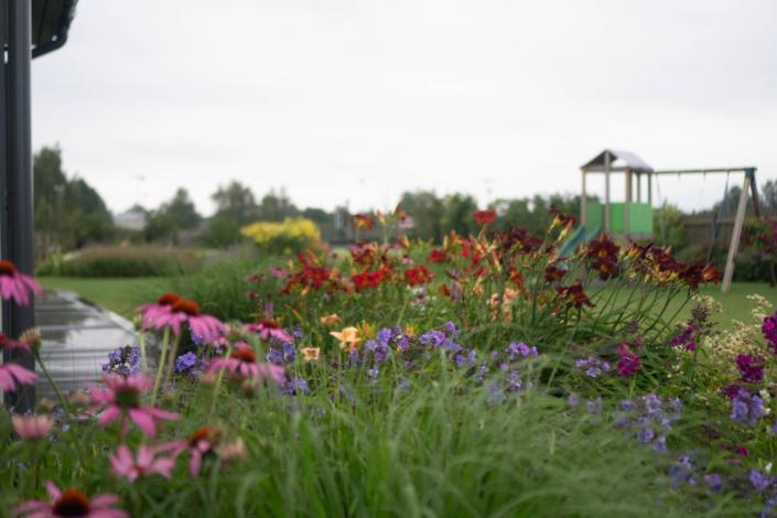 darzs-marupe-3-DSC00892