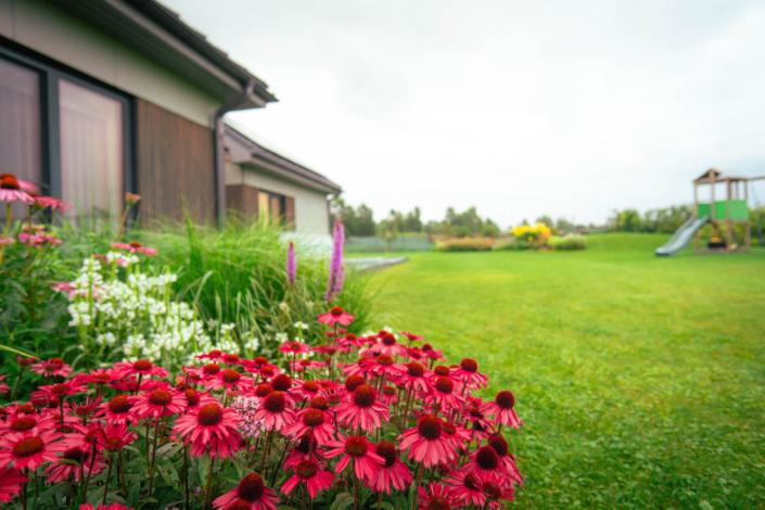 darzs-marupe-3-DSC00918