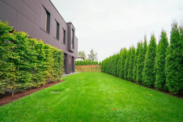 darzs-marupe-4-DSC00926