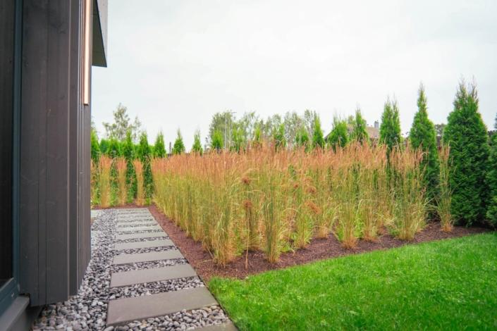 darzs-marupe-4-DSC00930