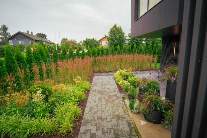 darzs-marupe-4-DSC00943