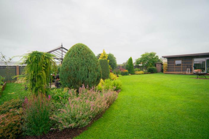 darzs-kalnavoti-DSC00954