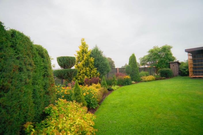 darzs-kalnavoti-DSC00961