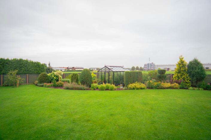 darzs-kalnavoti-DSC00965