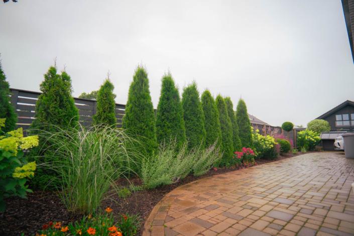 darzs-kalnavoti-DSC00972