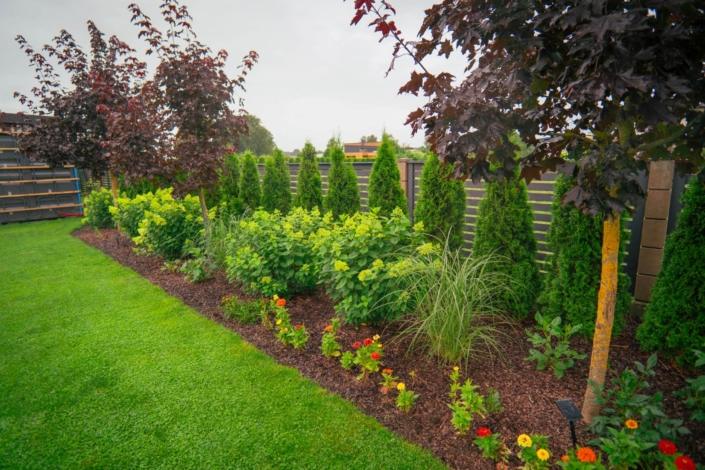 darzs-kalnavoti-DSC00974