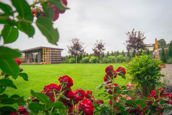 darzs-kalnavoti-DSC00978