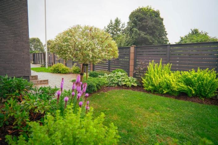 darzs-kalnavoti-DSC00997