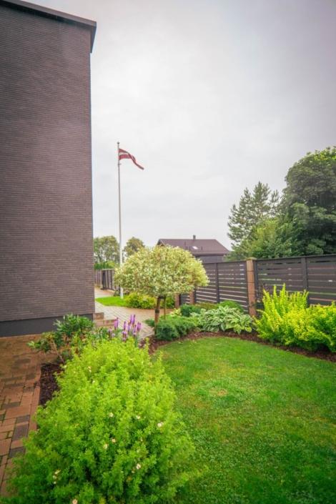 darzs-kalnavoti-DSC00998