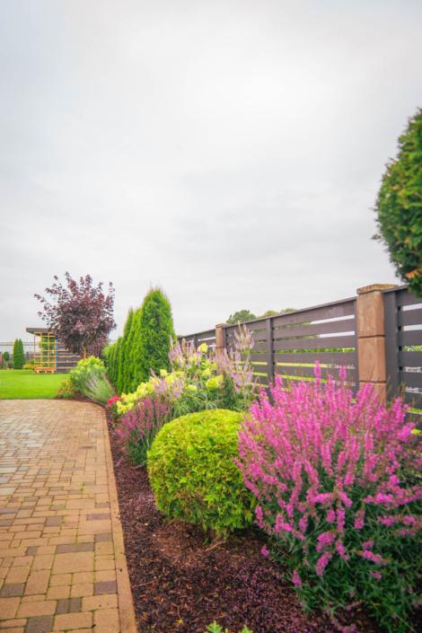 darzs-kalnavoti-DSC00999