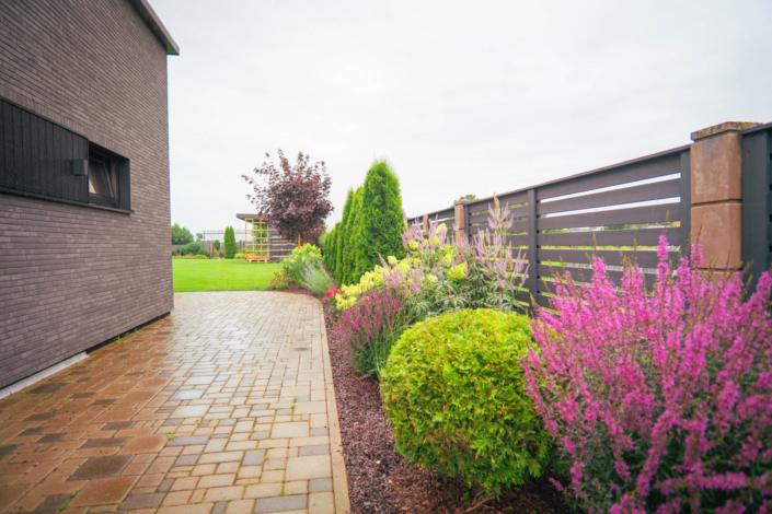 darzs-kalnavoti-DSC01000