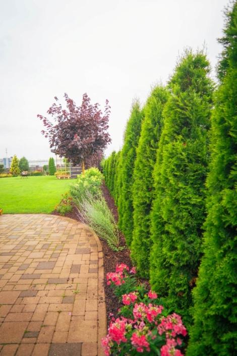 darzs-kalnavoti-DSC01002