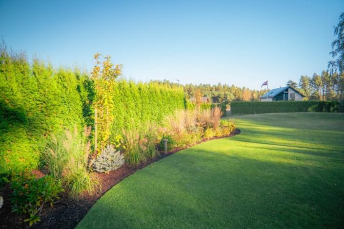 darzs-lapsas-DSC01103