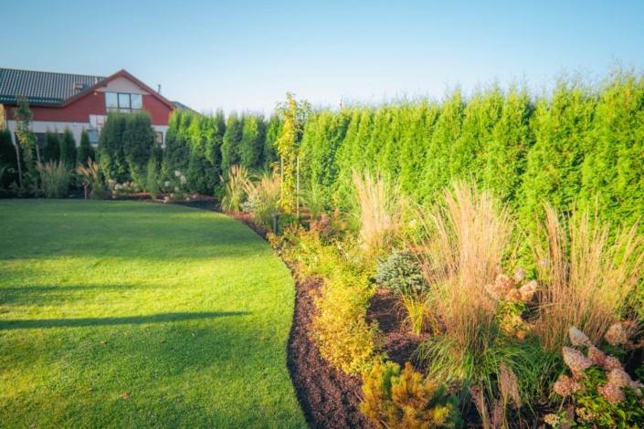 darzs-lapsas-DSC01107