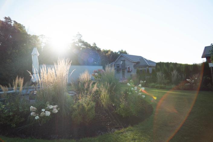 darzs-lapsas-DSC01108