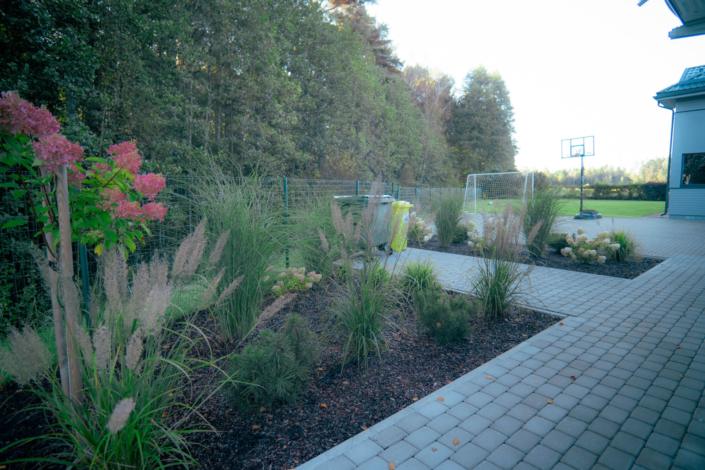 darzs-lapsas-DSC01113