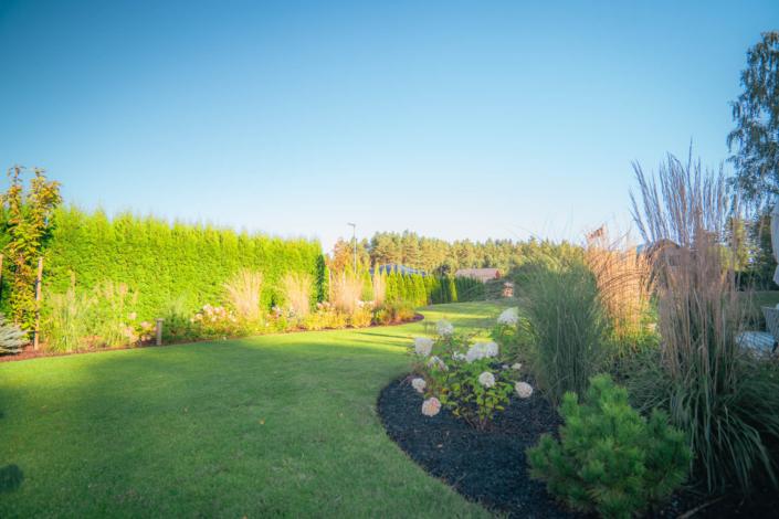 darzs-lapsas-DSC01121