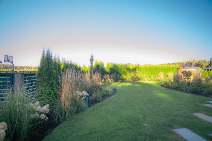 darzs-lapsas-DSC01123